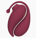 Adrien Lastic - Vibratore App Controlled Inspiration - Bordeaux