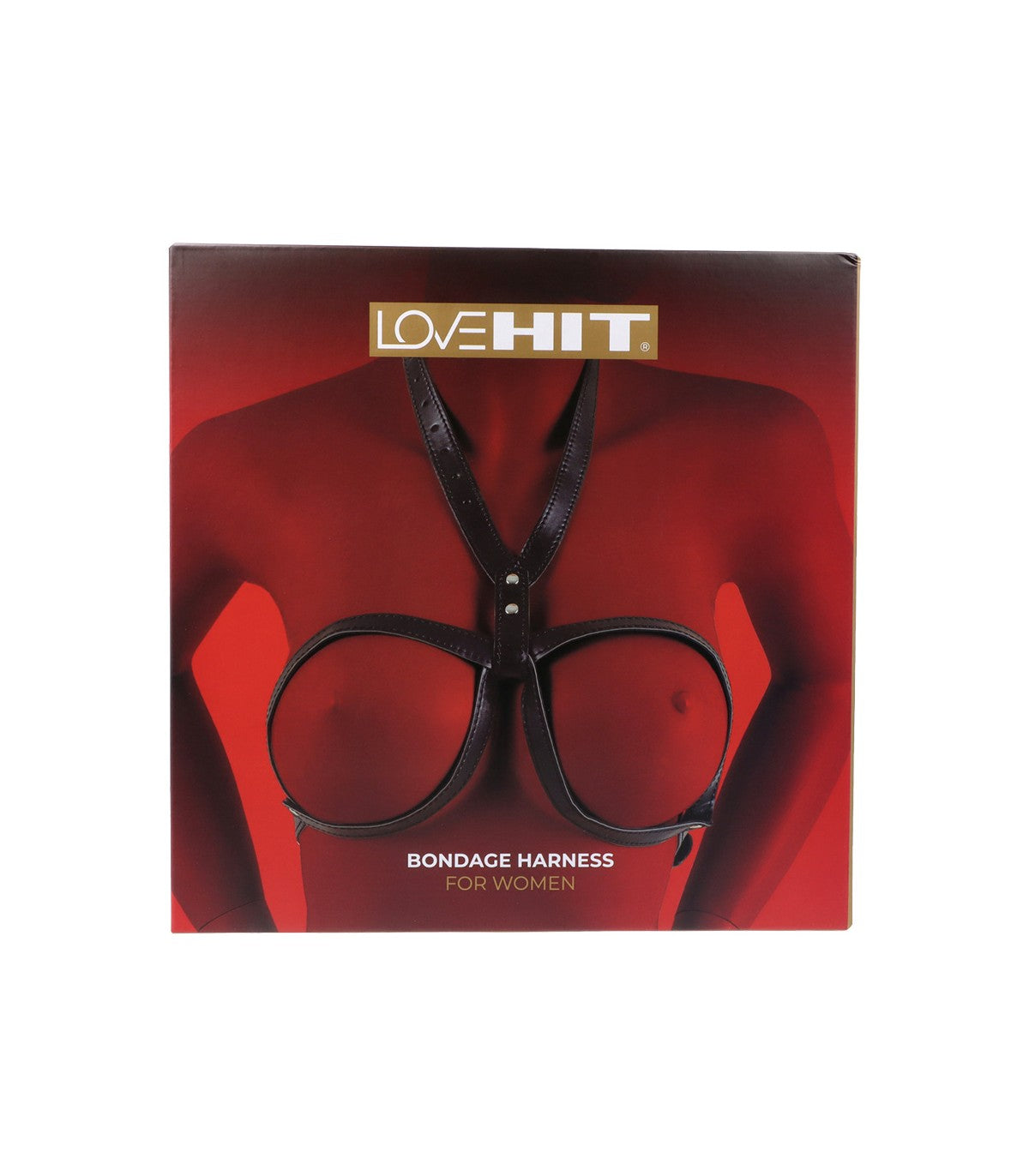 IMBRACATURA TORACICA DONNA MOD. 1