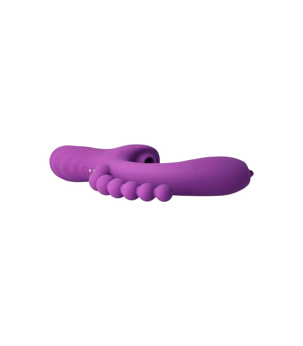 LETO VIOLA