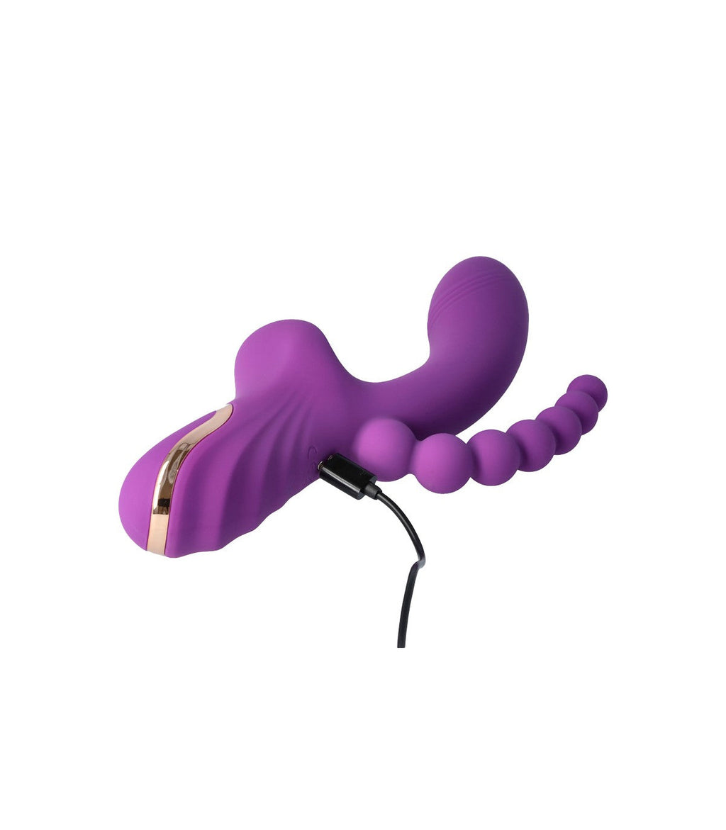 LETO VIOLA