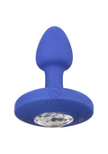 Sonda vibrante piccola blu