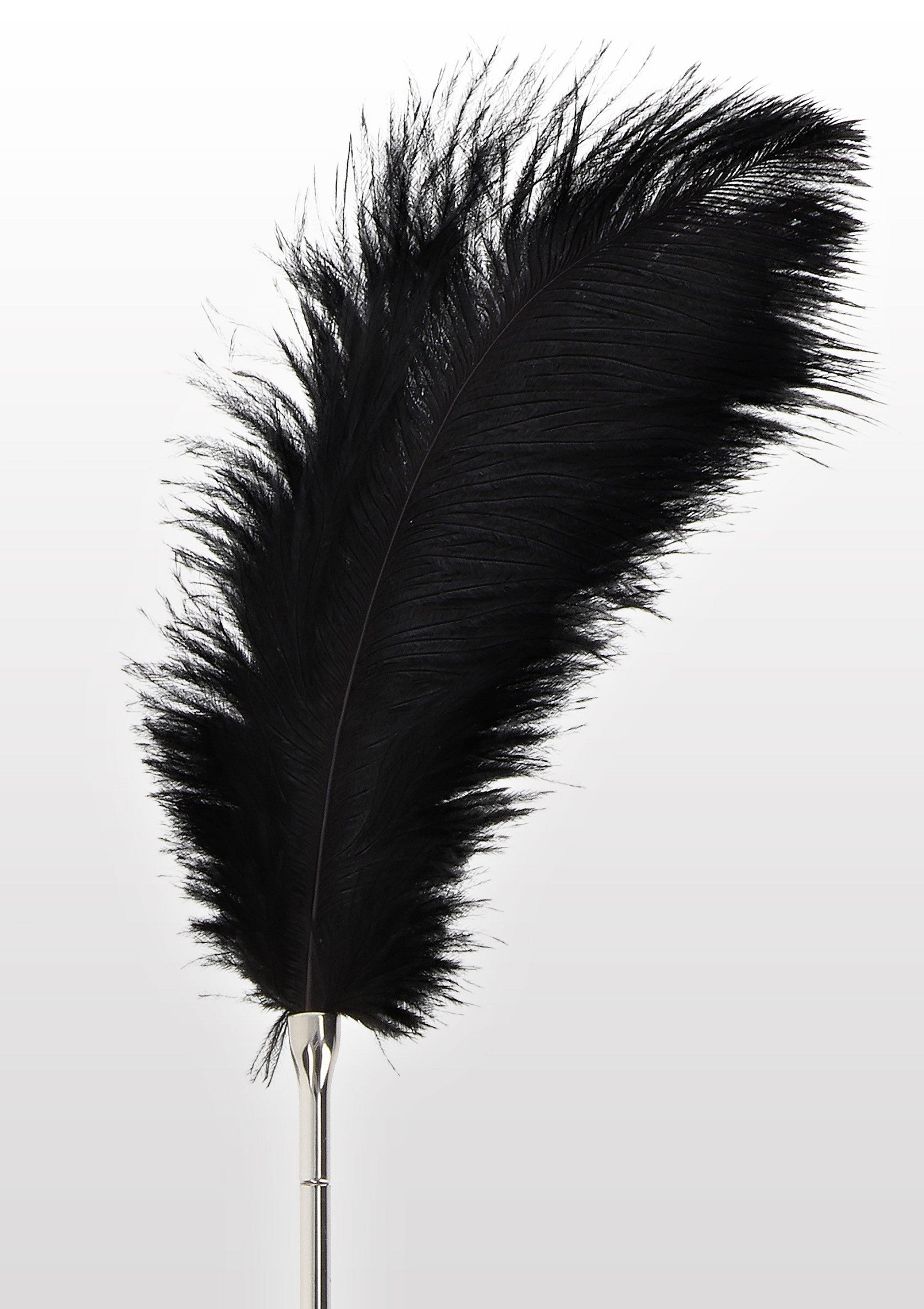 Feather Tickler nero