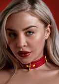 Collare con anello a D Deluxe rosso