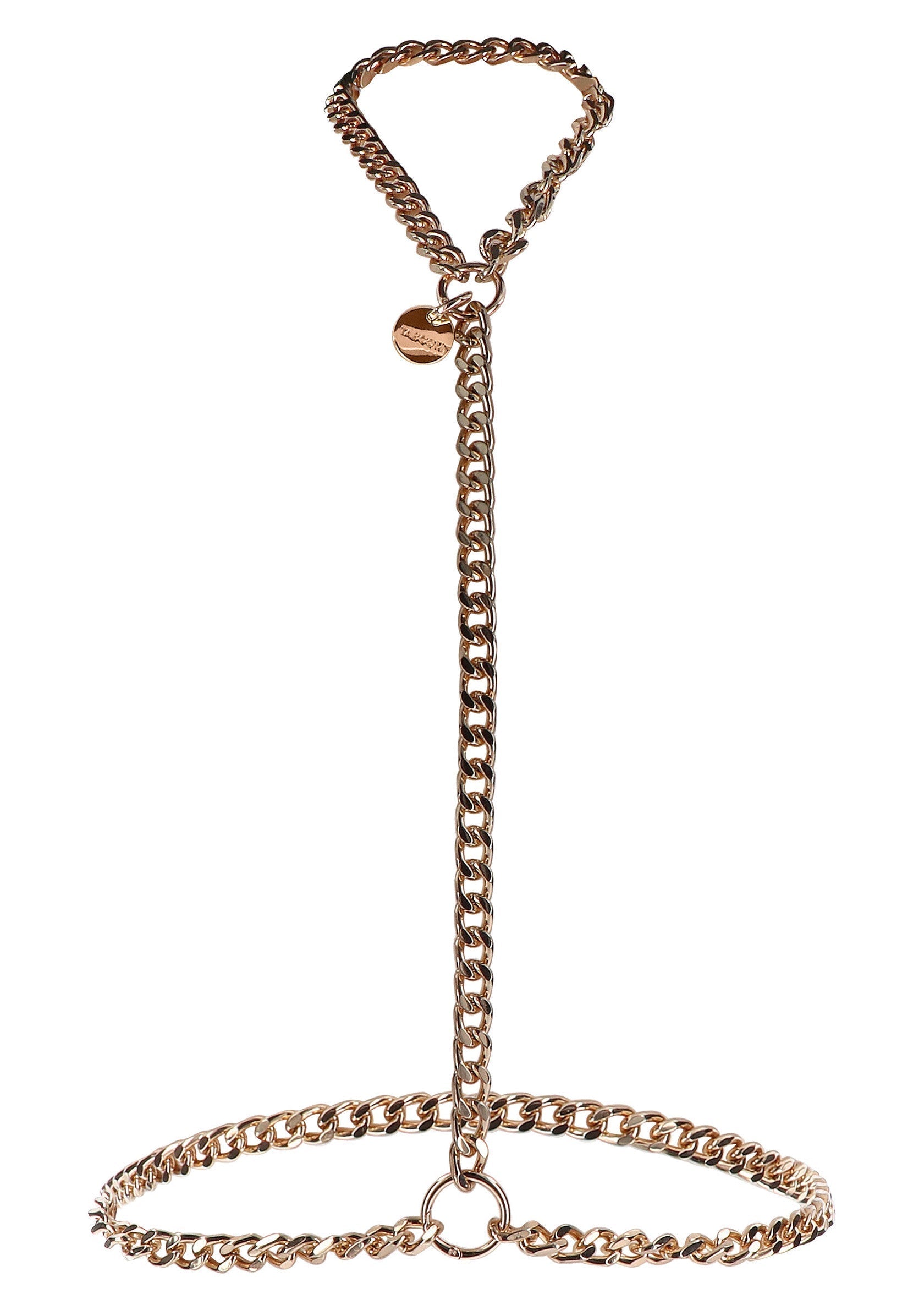 Dichiarazione Harness oro