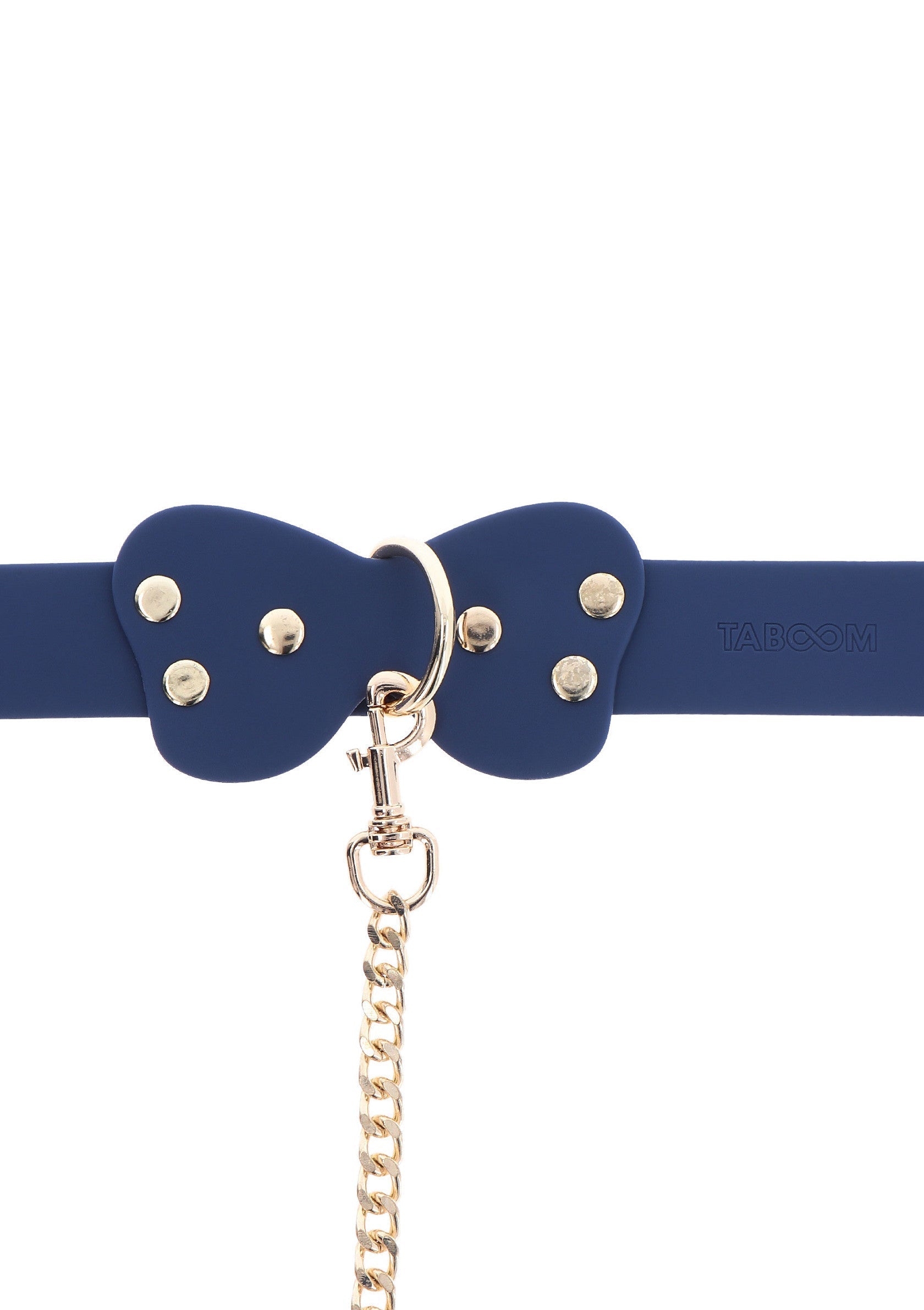 Collare e guinzaglio in silicone blu