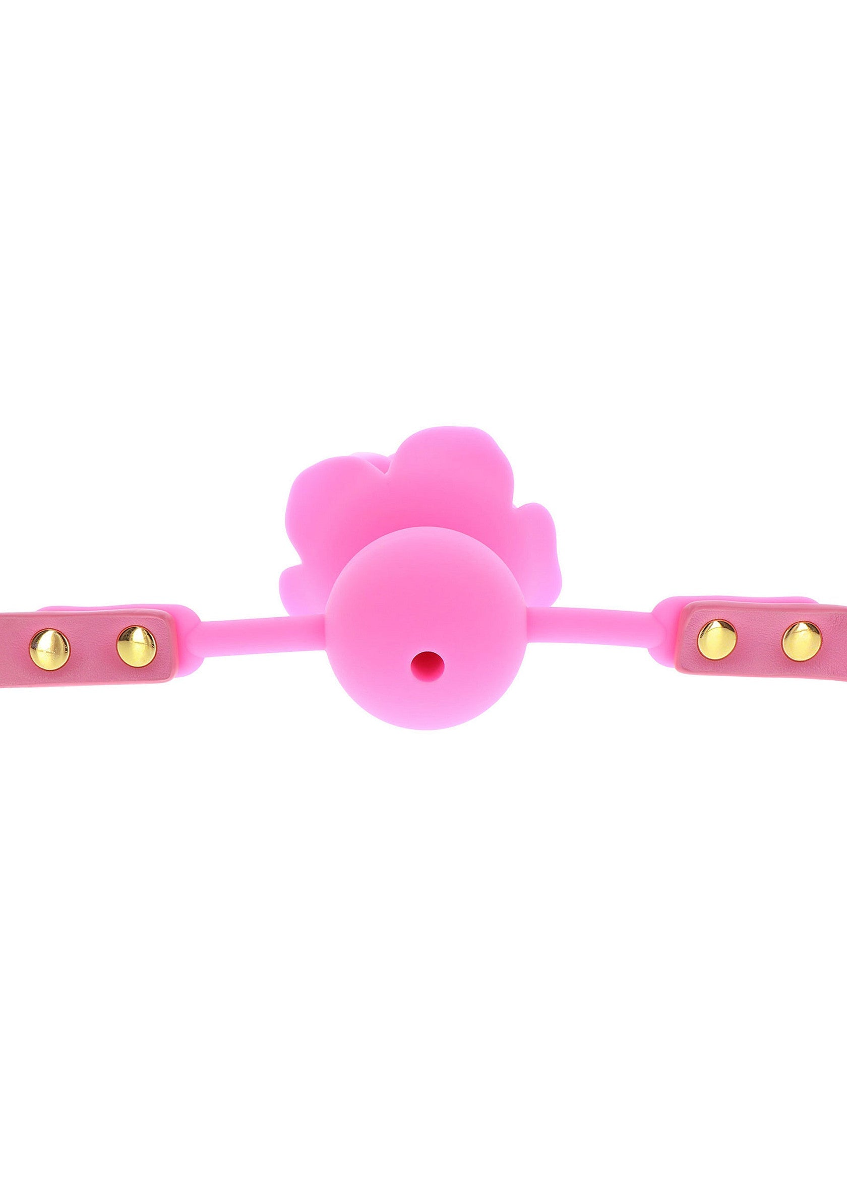 Bavaglio a palla di rosa rosa
