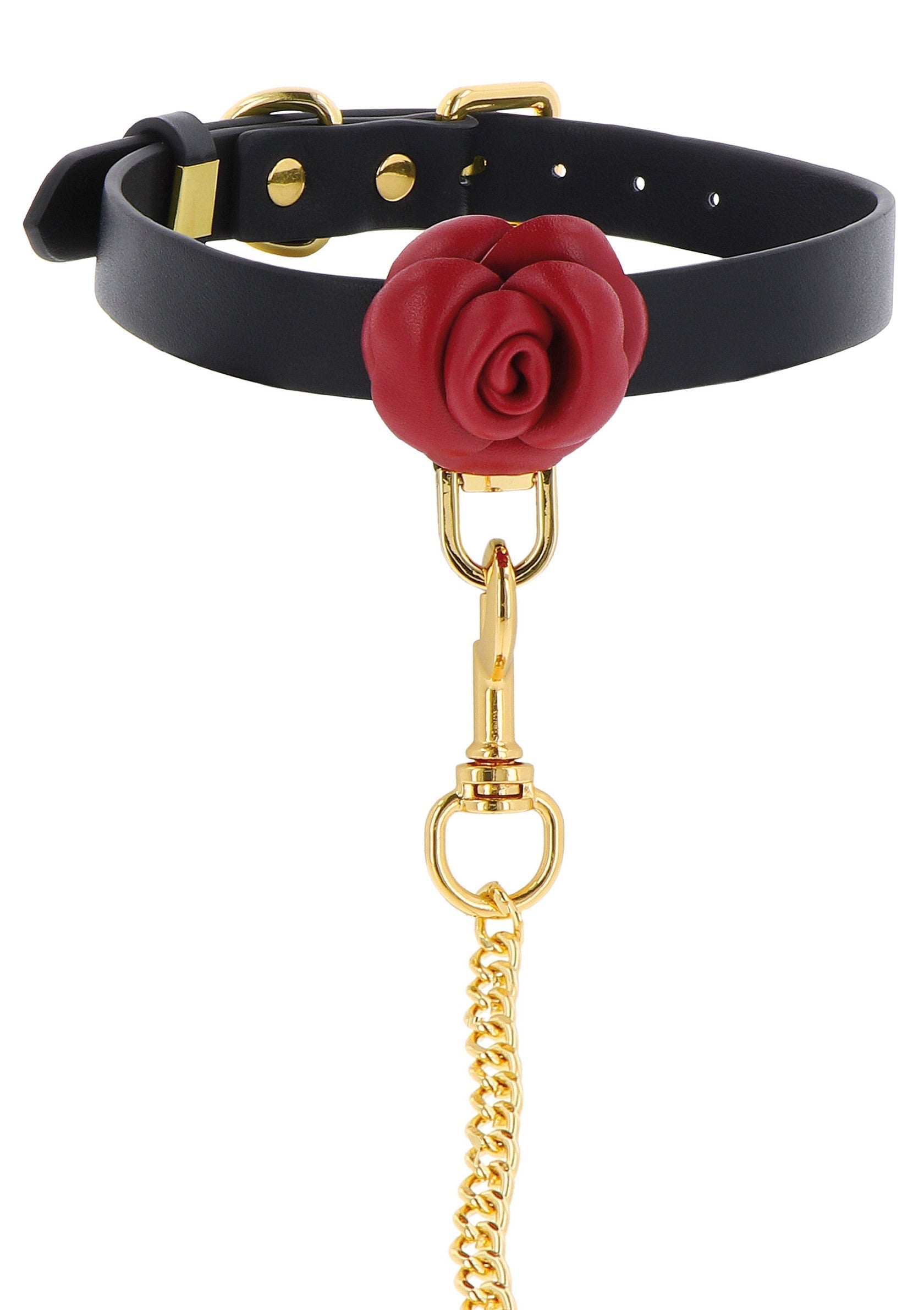 Collare e guinzaglio Wild Roses neri