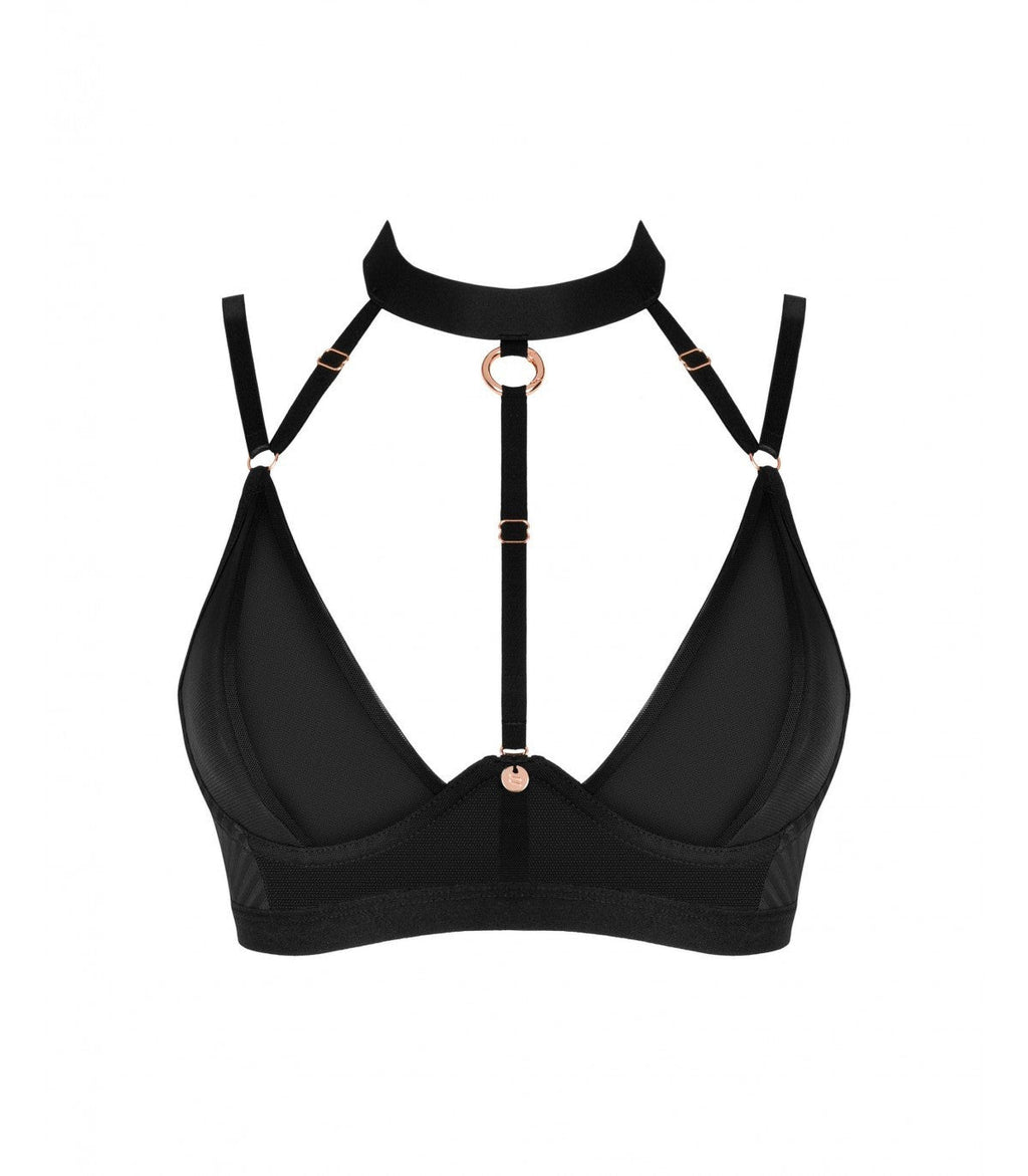 BRASICA REGGISENO M/L